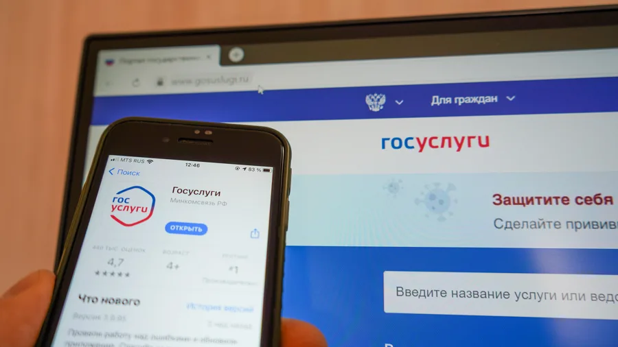 Приложение Госуслуги на смартфоне